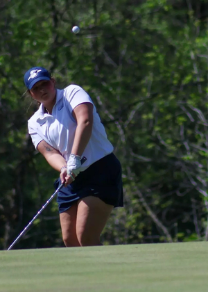 Isabelle Segal Chipping