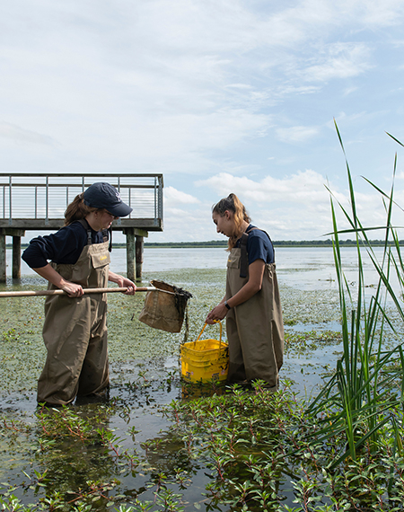 Students in waders collect samples in a wetland at Emiquon near a dock, surrounded by aquatic plants and reeds.