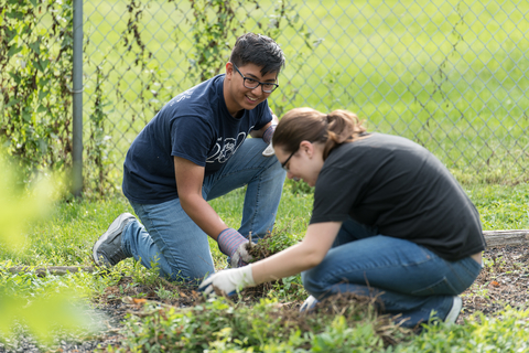 Two people work to pull weeds in a garden