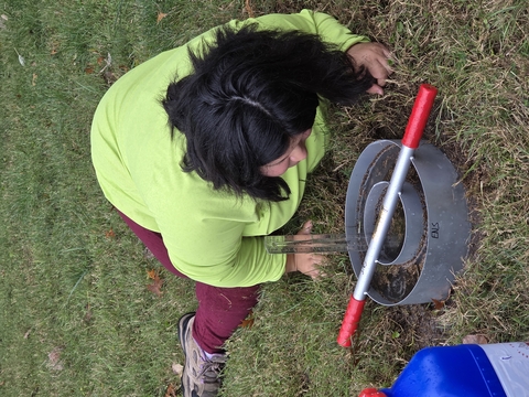 Researcher extracting soil core sample with cylindrical corer in urban grass field