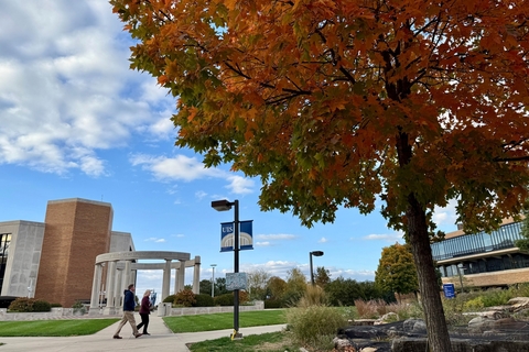 Autumnal views of the UIS colonnade with orange leaves in foreground