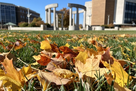 Fall Colors with Colonnade in the back ground