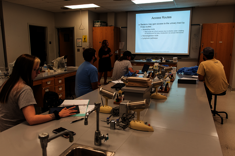 Teaching and Learning in the MLS Lab. Students sitting around lab stations with lab equipment on them. Instructor standing at the front of the room presenting a PowerPoint presentation.