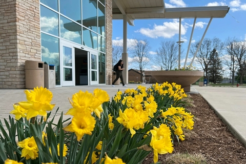 yellow flowers in front of student walking on campus