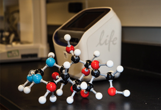 a physical model of a molecule