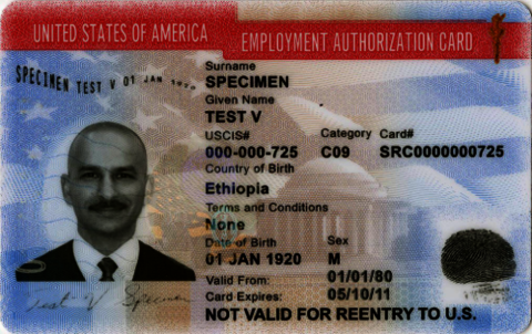 employment authoriztion card example