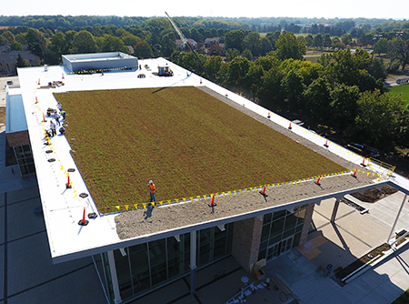 the roof of the student union