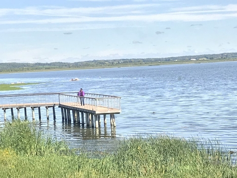UIS employee standing at the docks on the lake