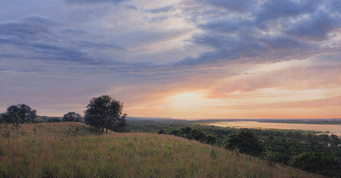 Painting of Emiquon Preserve