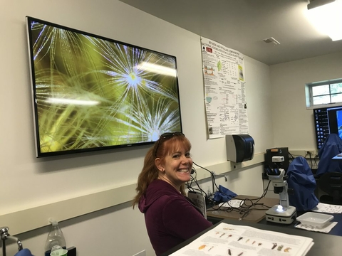 UIS employee at a microscope