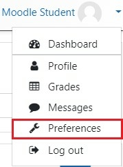 profile menu highlighting preferences