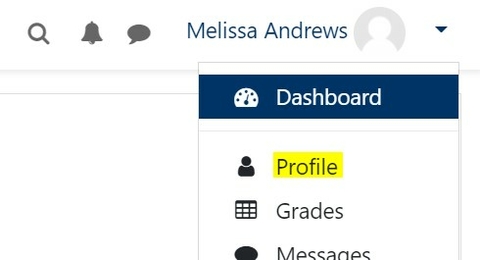 profile dropdown