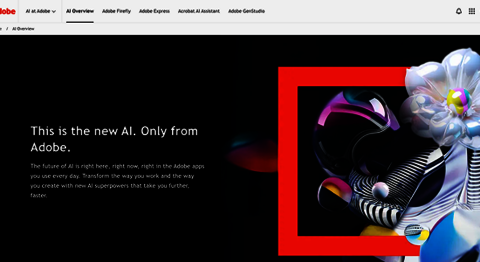 Adobe Webpage screenshot