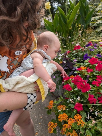 child touching flowers