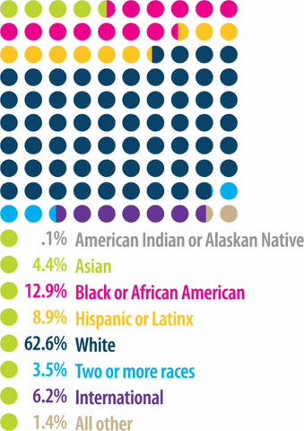 .1% American Indian or Alaskan Native, 4.4% Asian, 12.9% Black or African American, 8.99% Hispanic or Latinx, 62.6% White, 3.5% Two or More Races, 6.2% International, 1.4% All Other