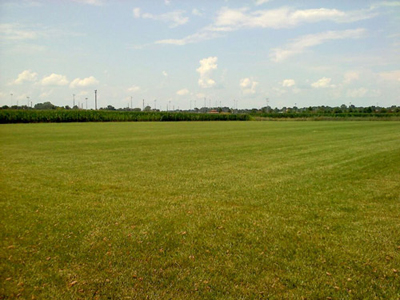 open field at UIS