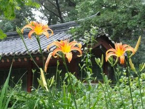 Changdeokgung Palace Gardens, Seoul, South Korea