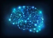 digital drawing of a brain with circuits