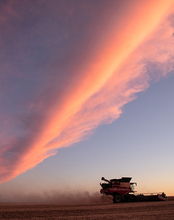 Combine harvester silhouetted against a vibrant sunset sky.