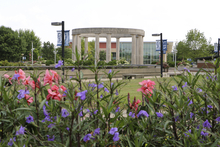 Colorful flowers in front of the UIS Colonnade