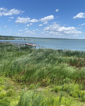 Lake with a wooden pier, surrounded by lush green reeds under a vibrant blue sky.
