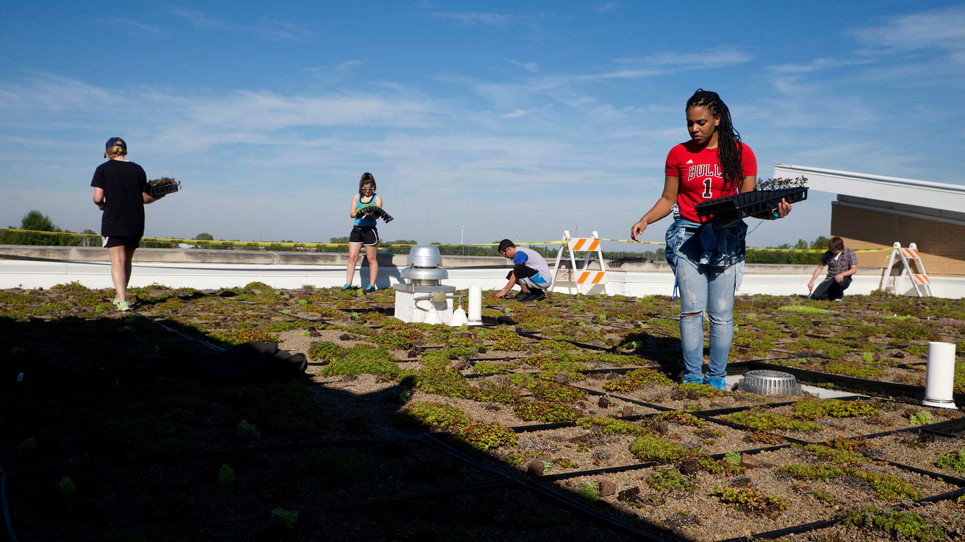 students on green roof