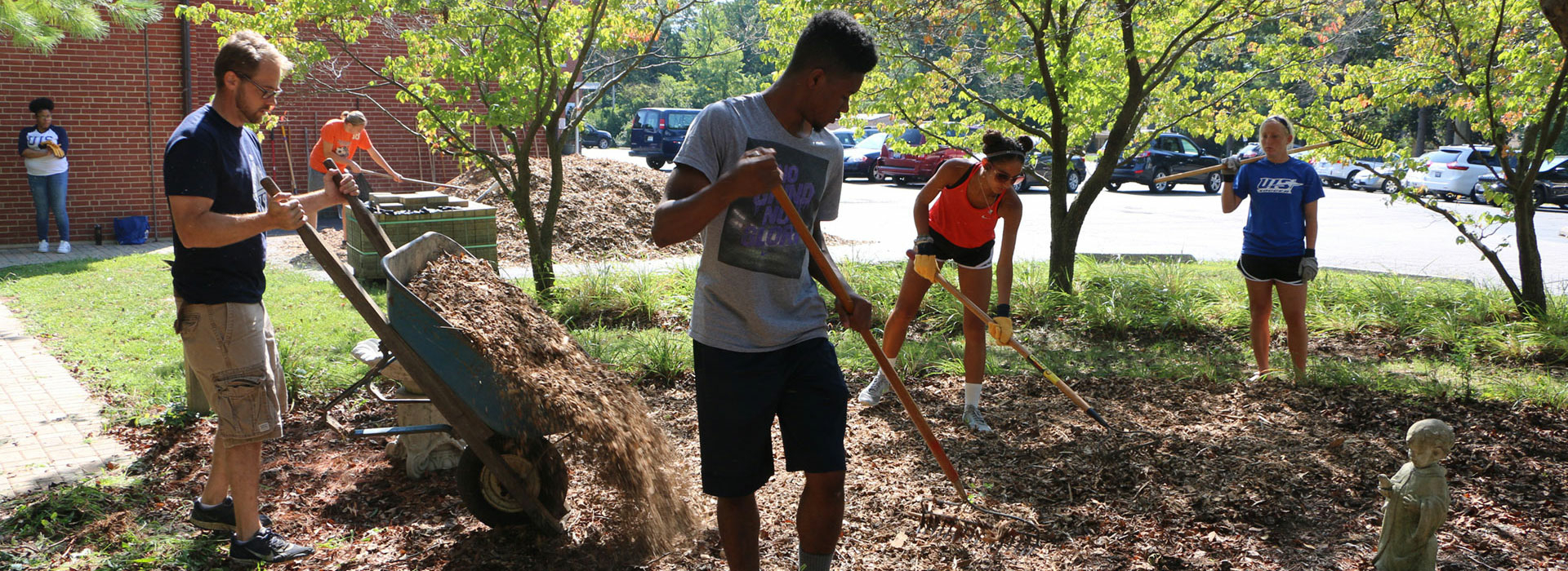 Students engaged in volunteer activities outdoors