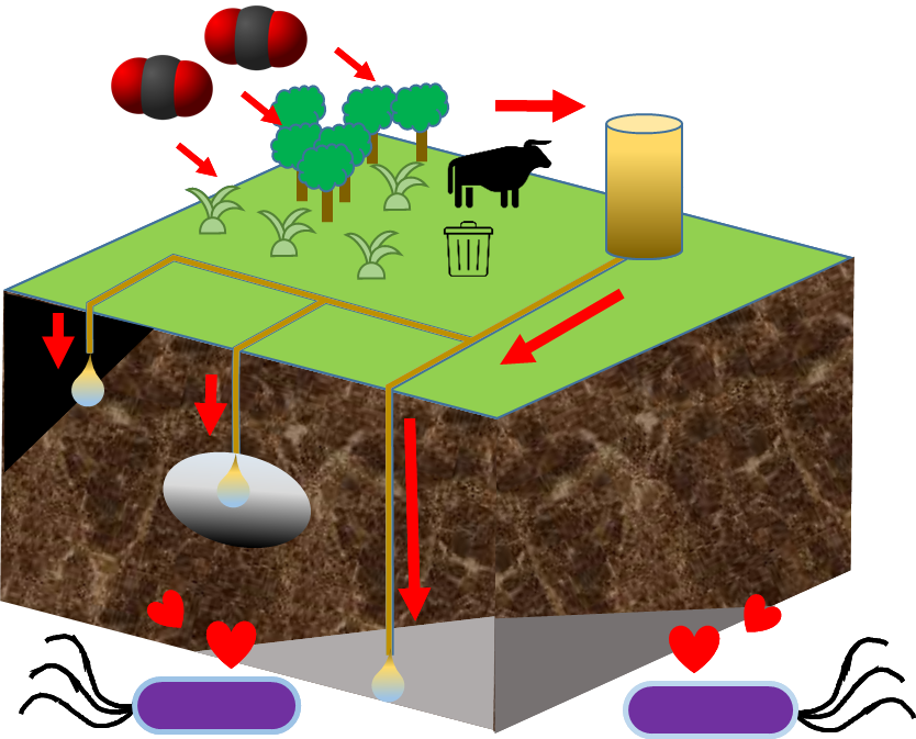 carbon negative sequestration model