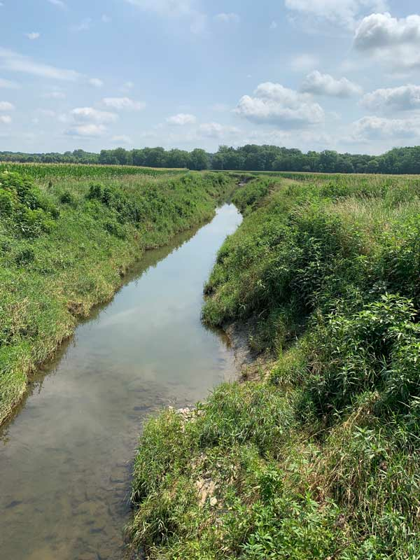 stream in a field