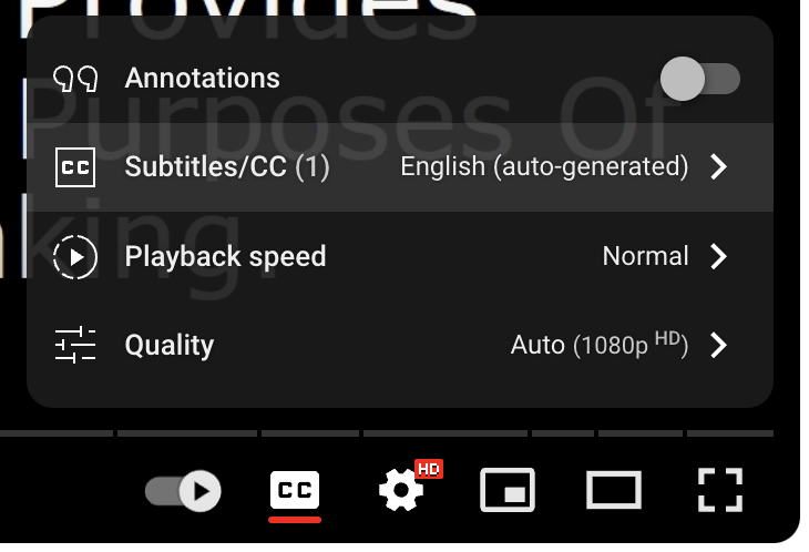 YouTube Playback Settings