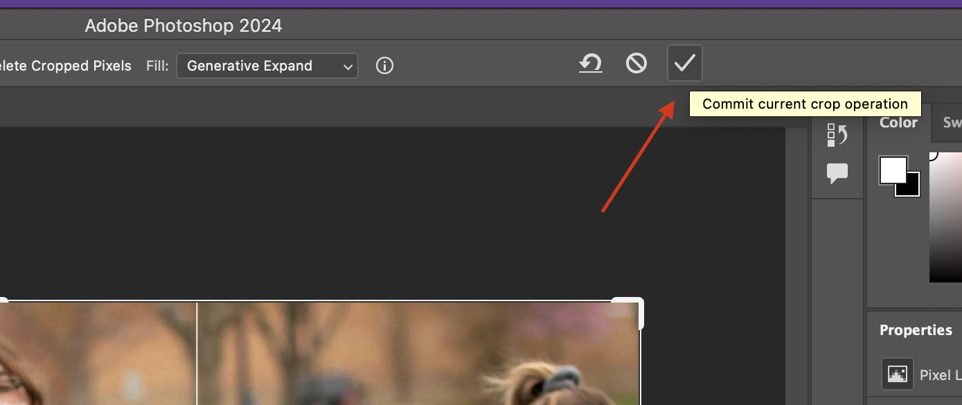 screenshot of where the checkmark is in photoshop