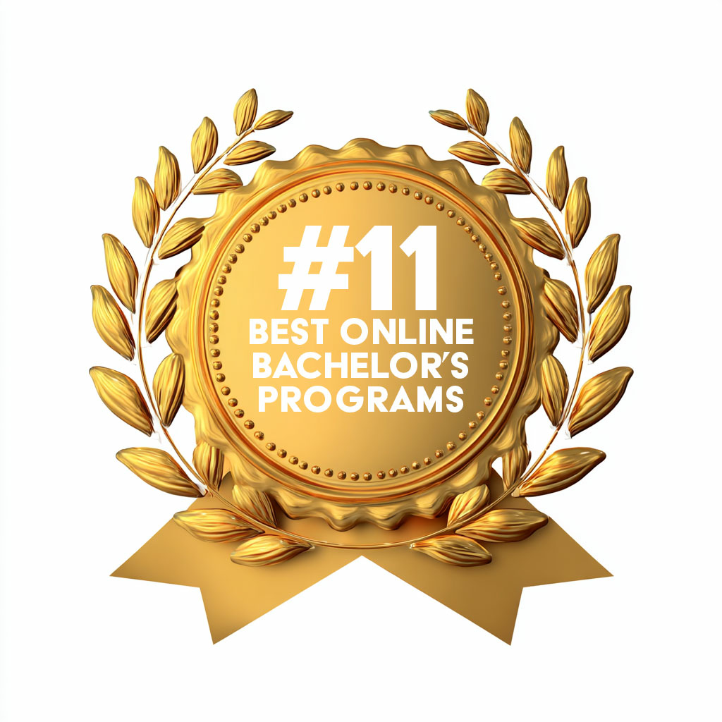 Bronze award badge with #11 best online bachelors programs