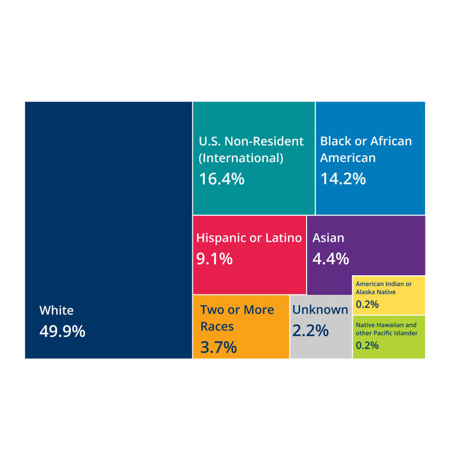 Treemap chart showing student demographic percentages by race and ethnicity categories.