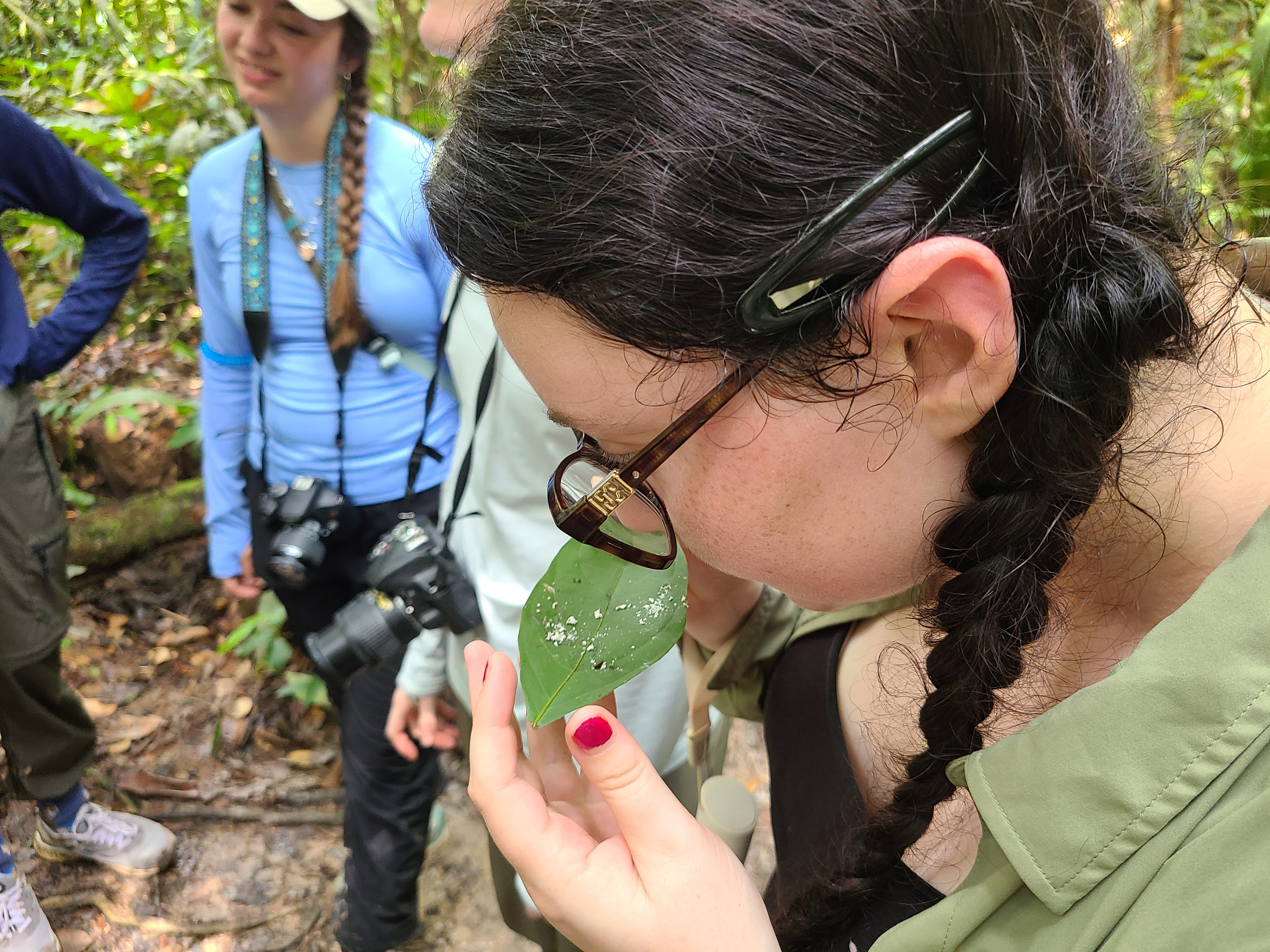 A UIS student closely examines a leaf while learning about Amazon rainforest plants.