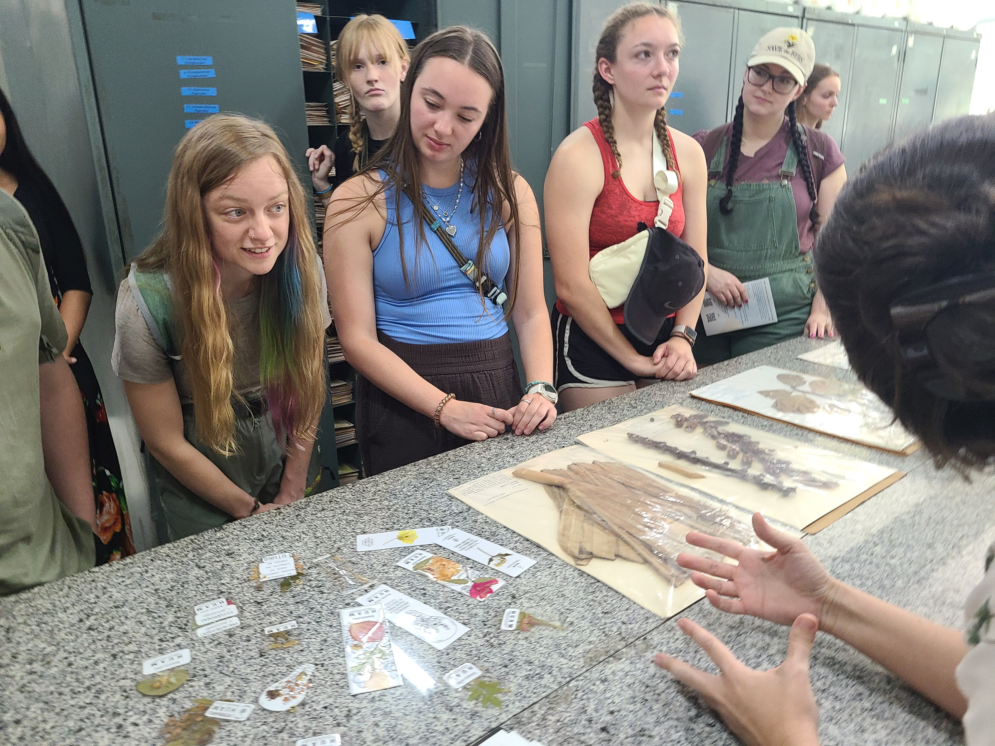 UIS students examine preserved Amazon plant specimens during a visit to a Brazilian research collection.