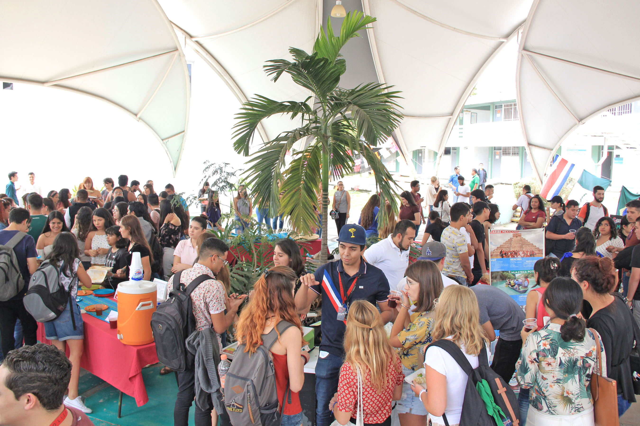 Outdoor party under a tent