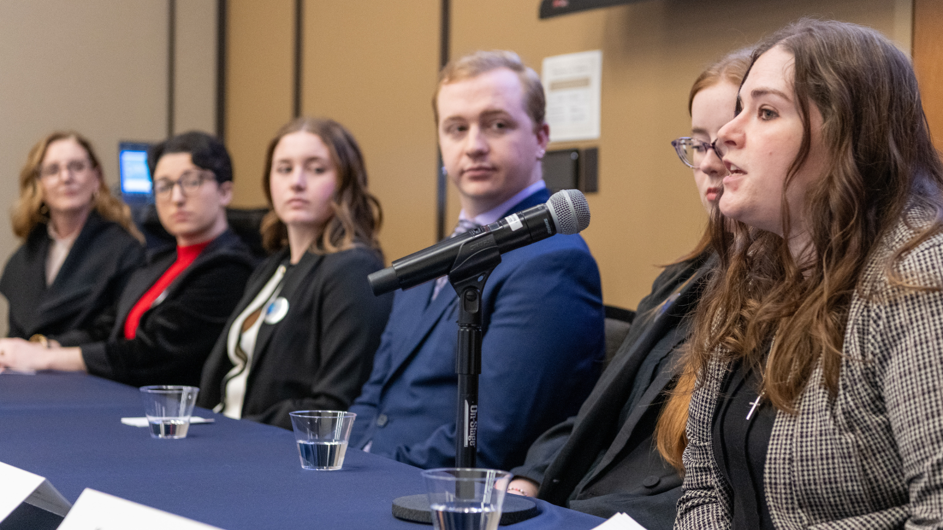 Group panel discussion with a woman speaking into a microphone.