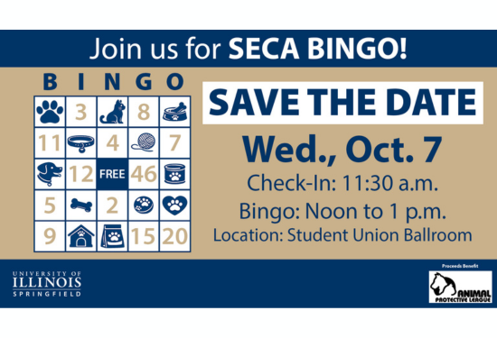 Bingo board and event details.