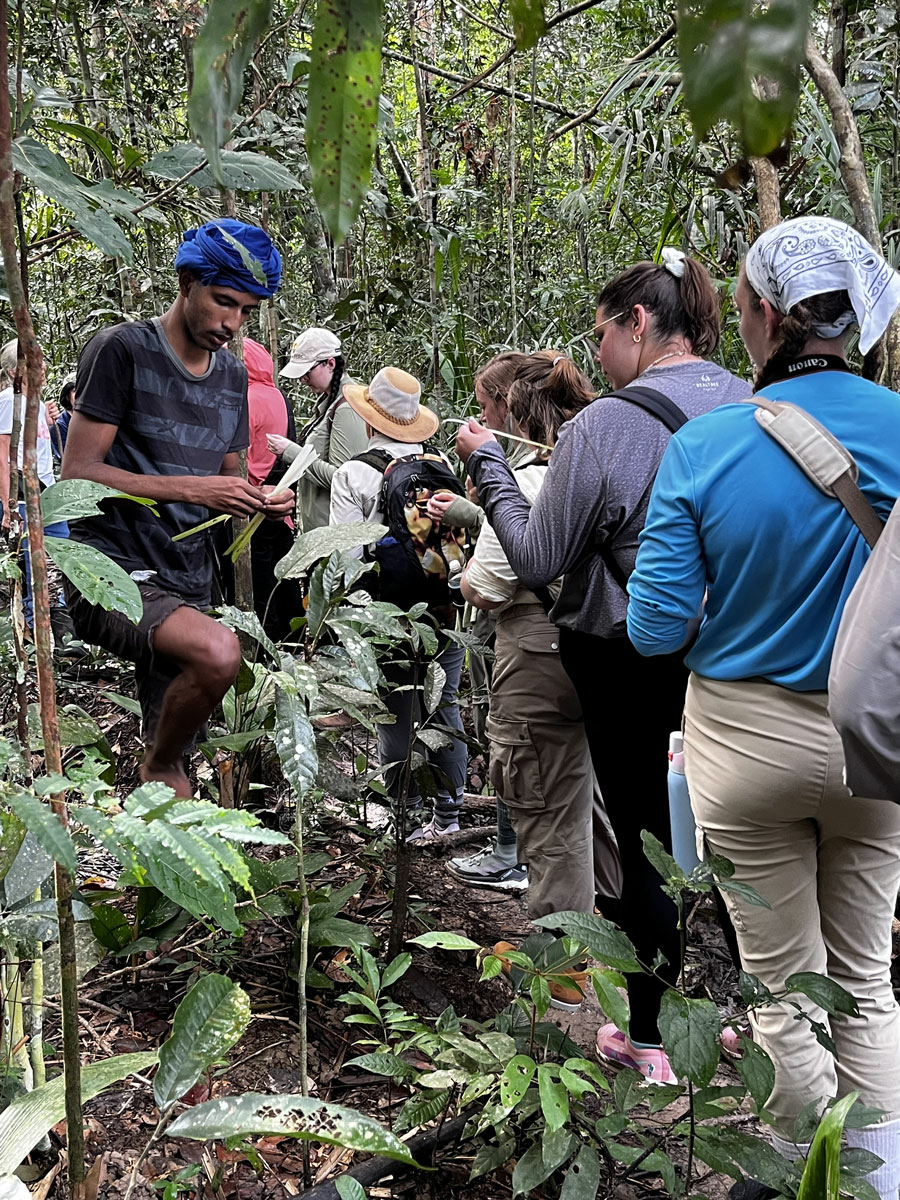 Students walking through the Amazon forest