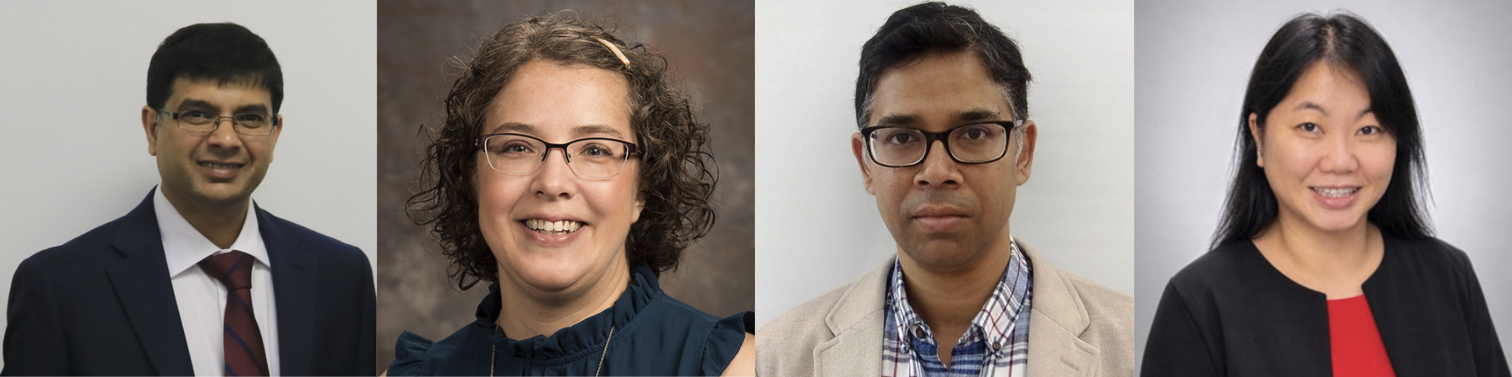 Dr. Md Rasel Al Mamun, Dr. Anna Payne, Dr. Rishikesh Sahay, and Dr. Minh Tam "Tammy" Schlosky