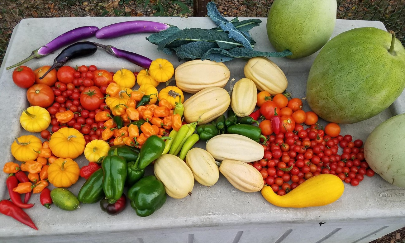 Fall UIS Community Garden Work Days