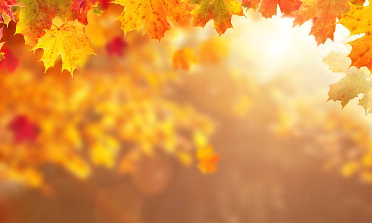 FALL Into the Women's Center- Tabling