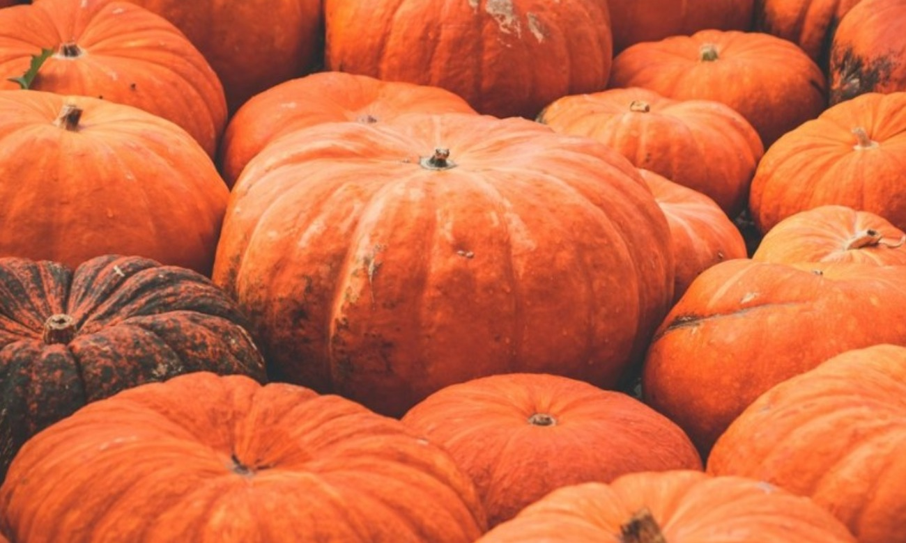 Pumpkin Carving Event
