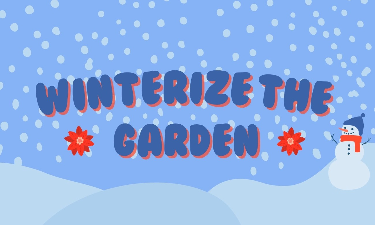 Winterize the Garden