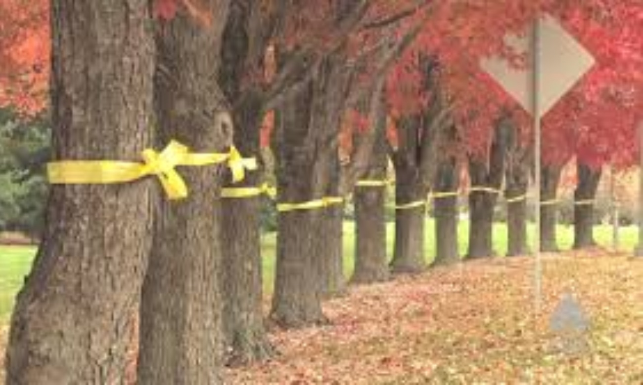 Untie a Yellow Ribbon