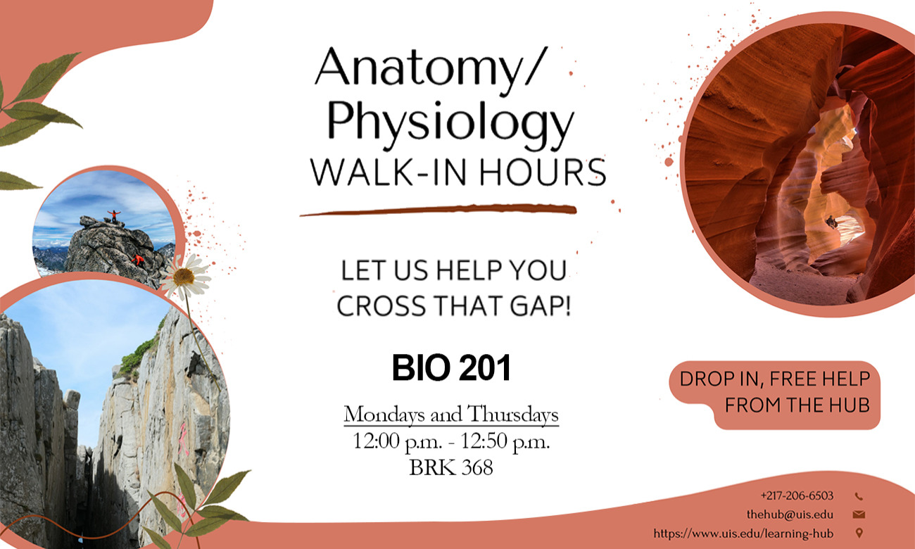 Anatomy/Physiology Walk-In Tutoring