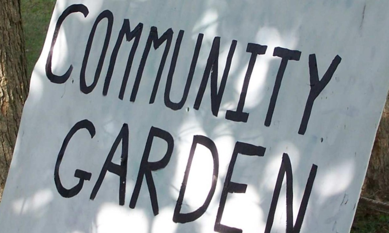 Service-a-thon: Spruce Up the Shed