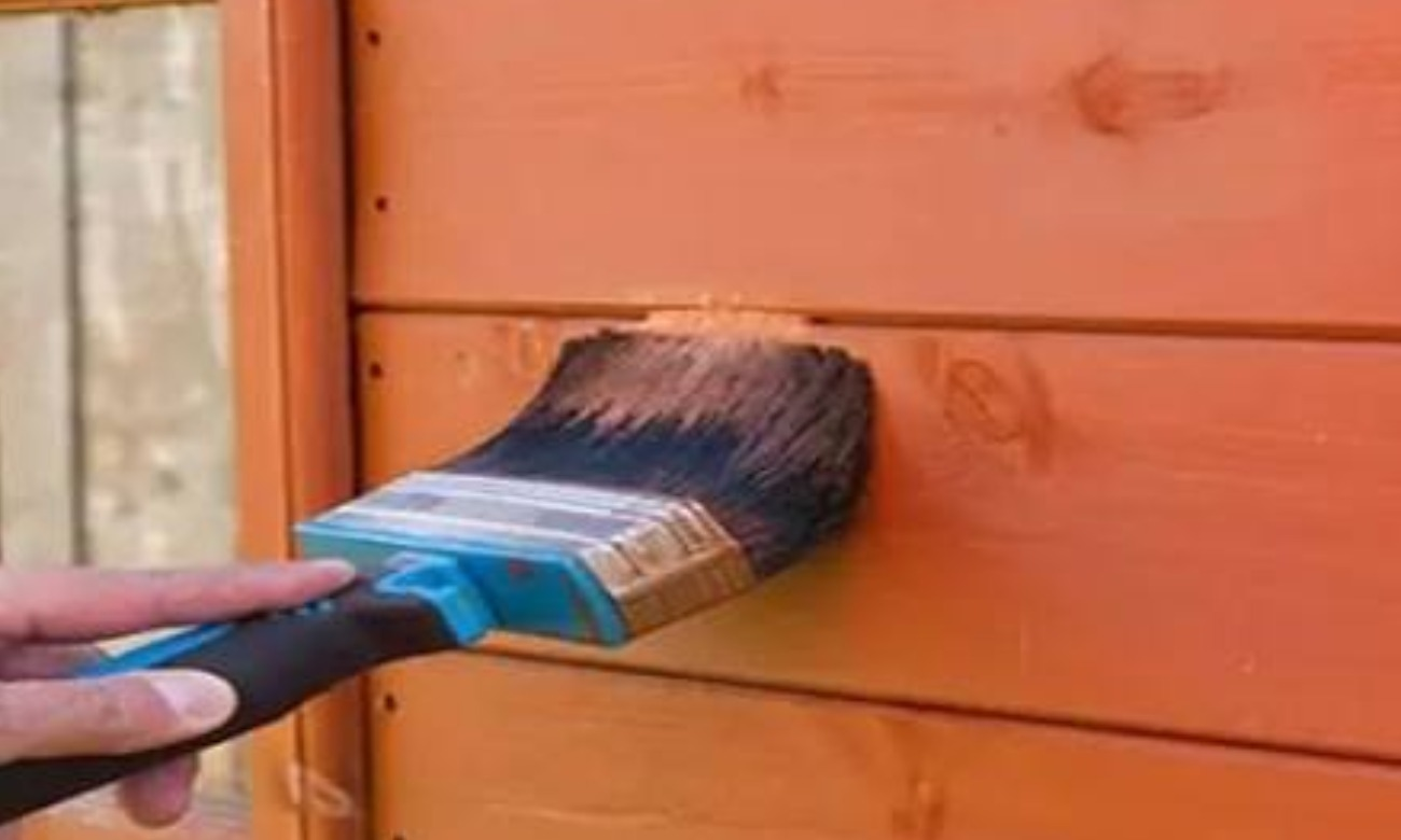 Garden Shed Makeover: Volunteer Paint Day