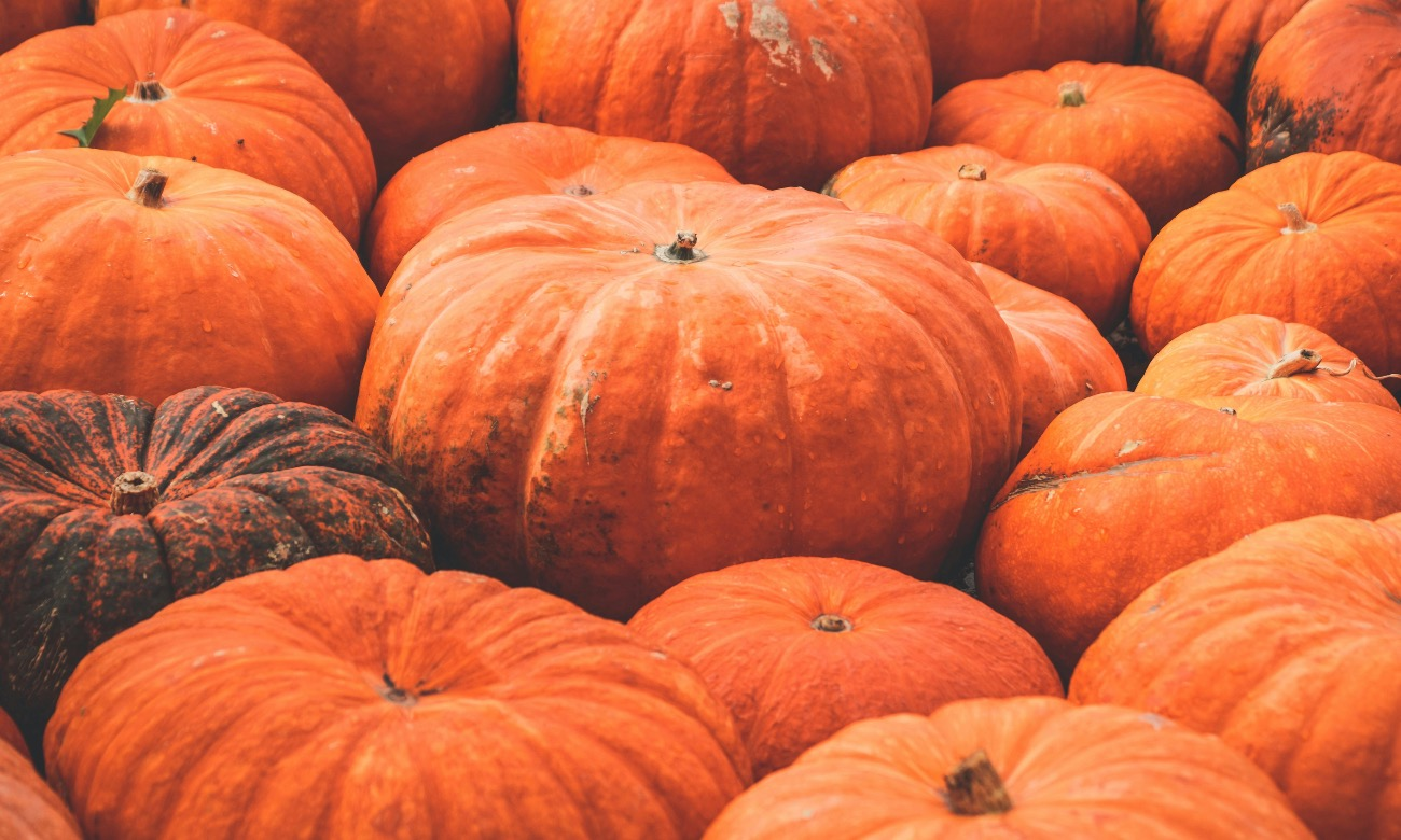 Pumpkin Carving