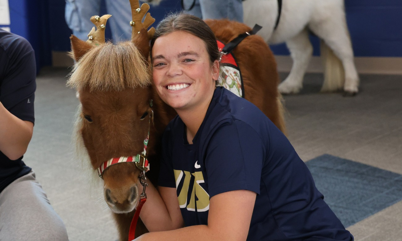 Miniature Therapy Horses